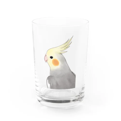 見つめるオカメインコちゃん【まめるりはことり】 Water Glass