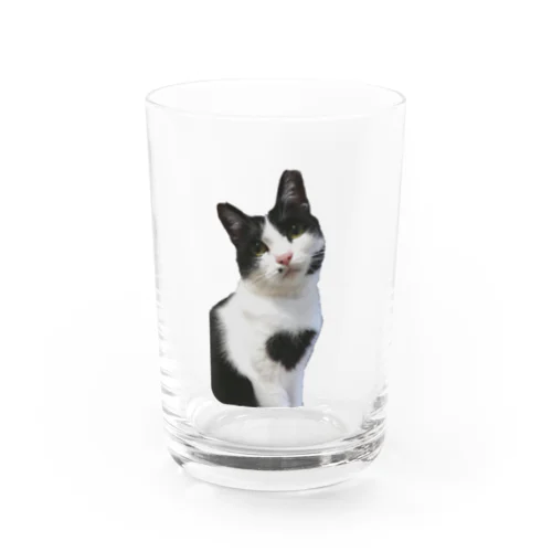 斜に構えた胸毛ハートのさしみ Water Glass