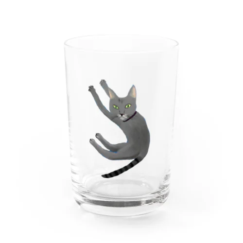 ふぇるめーるのふぇるくん Water Glass