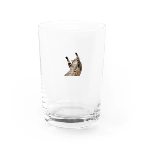 万歳 Water Glass