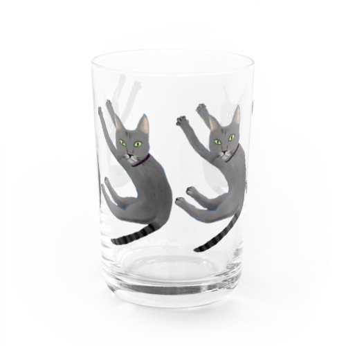 ふぇるめーるのふぇるくん　よこならび Water Glass