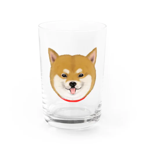 ペロシバ　ちゃ Water Glass