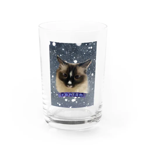 ねこの雫 Water Glass