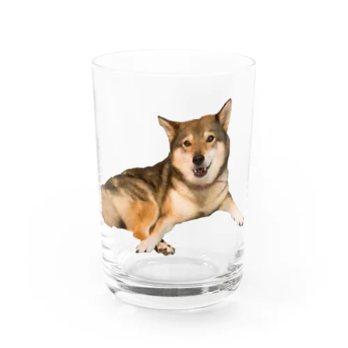 にこにこめりちゃん。 Water Glass