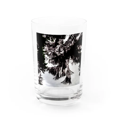 この木何の木 Water Glass