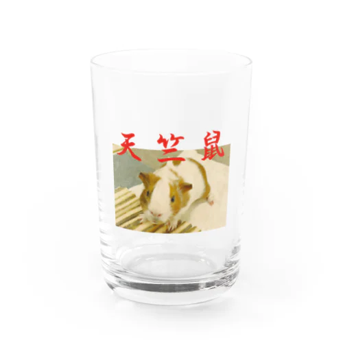 中華風天竺鼠 Water Glass