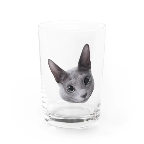 ふぇるくん　まんまるおめめ Water Glass