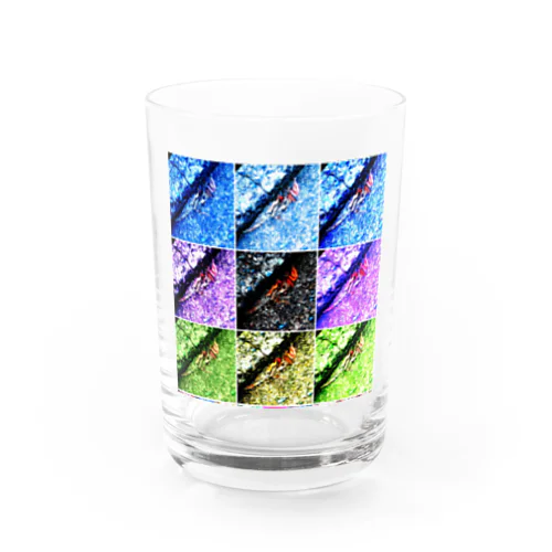 人魚のミイラ Water Glass