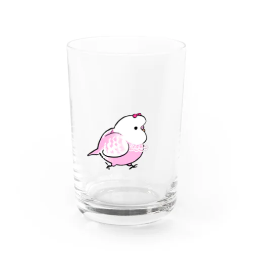 恋するセキセイインコ Water Glass