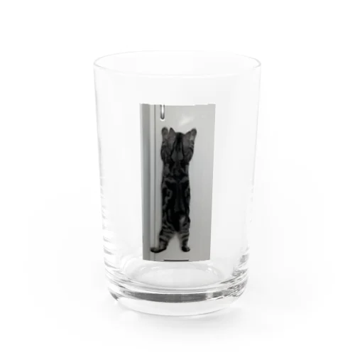猫タンブラー グラス
