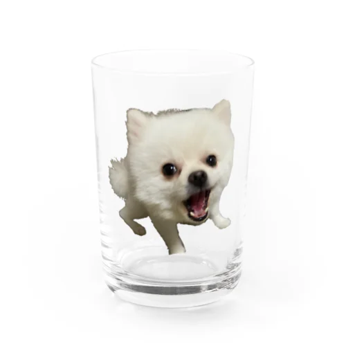 ごま Water Glass