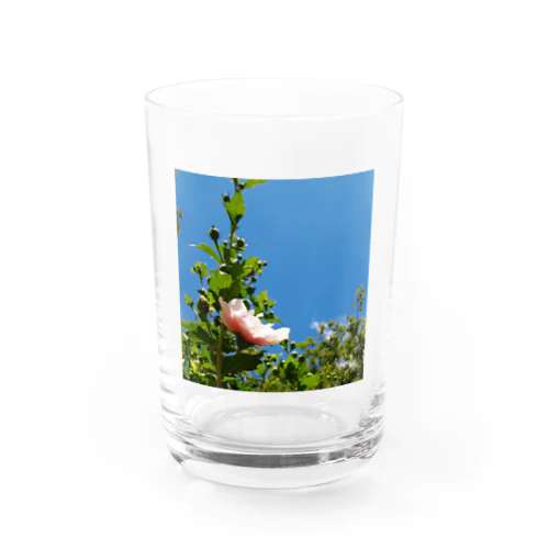 6'-Family Ensemble Water Glass