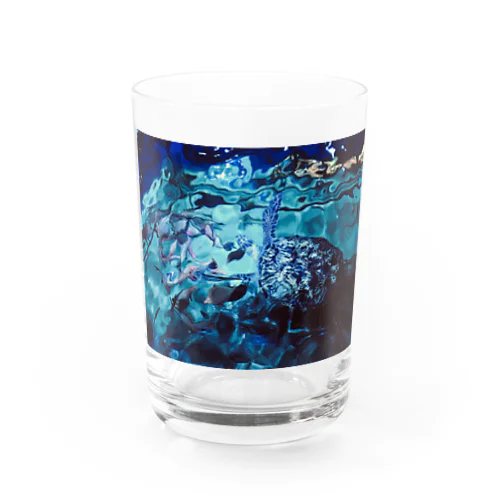 海亀 Water Glass