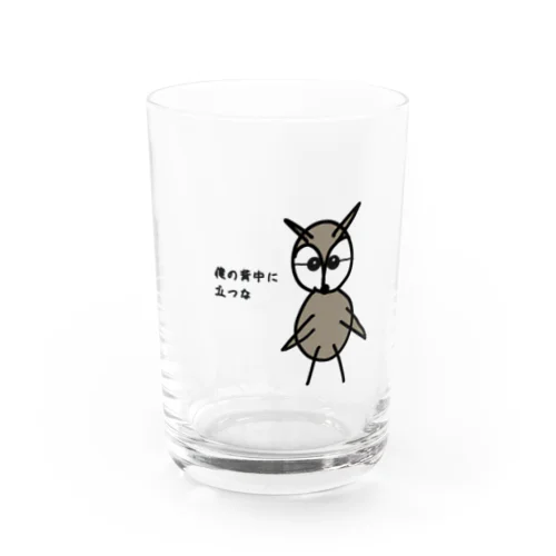 メガネフクロウのゴルゴ Water Glass