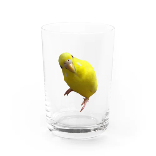 うちのかわいい黄色ちゃん Water Glass