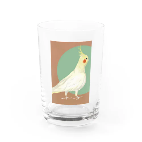 オカメインコ Water Glass