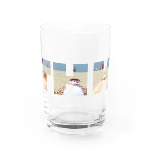 夏THK Water Glass