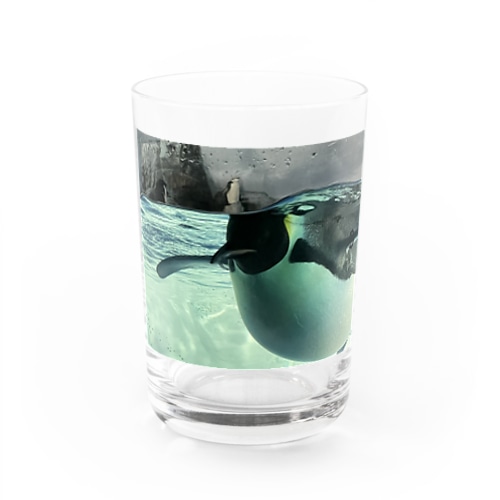 コウテイペンギン　写真　リアル Water Glass