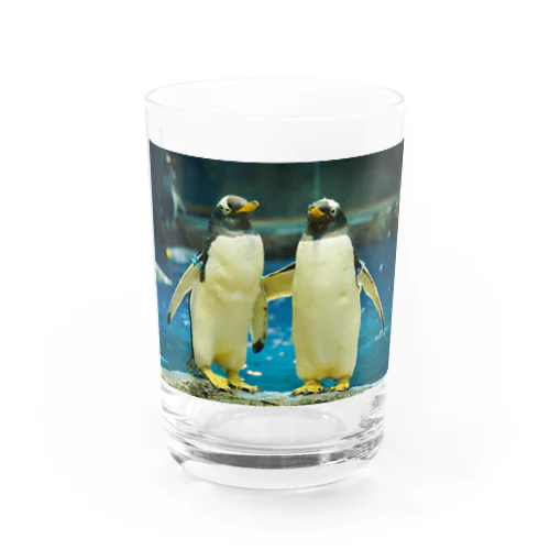 ジェンツーペンギン　写真　リアル　仲良し グラス