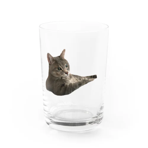 ねこ　猫　 Water Glass