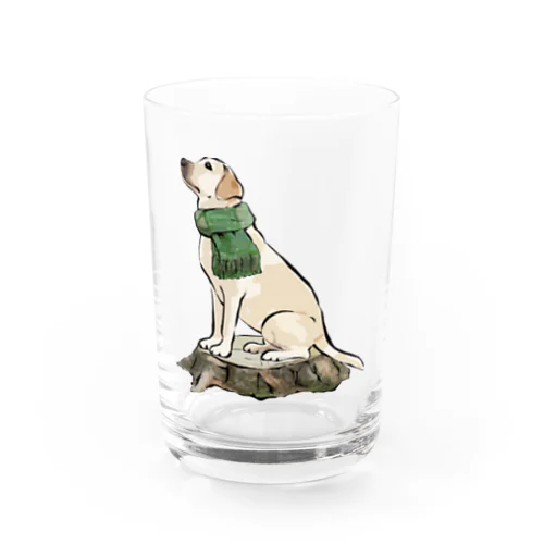マフラー犬　ラブラドルレトリバー Water Glass
