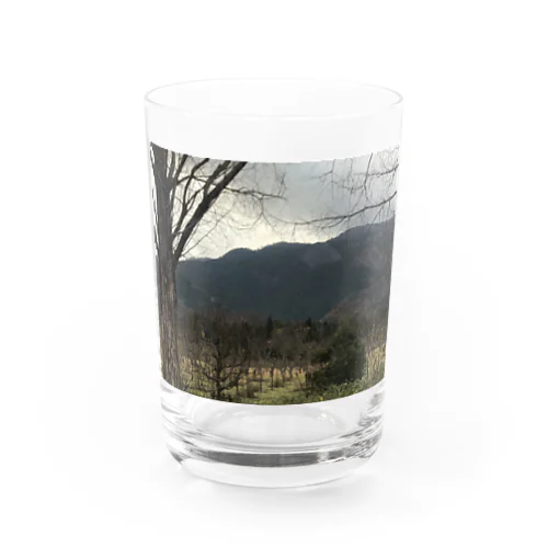 冬の自然 Water Glass