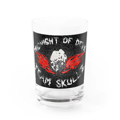 TEAM SKULLZ　BLKWRAPPING Water Glass