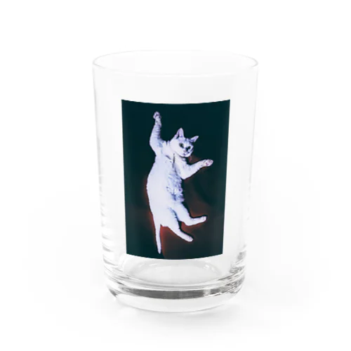 ホラーにゃん Water Glass