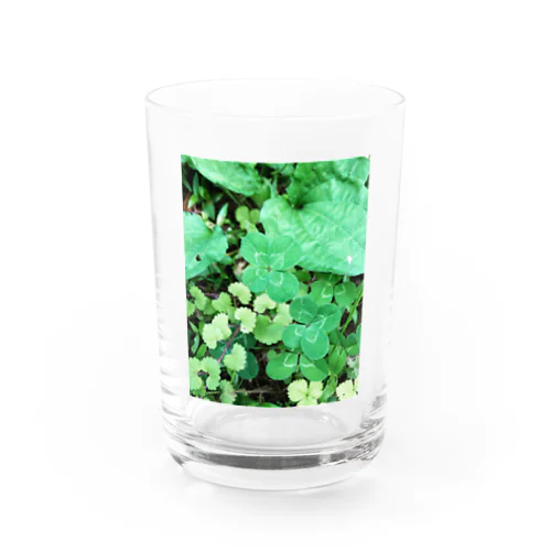 幸せを引き寄せる四つ葉のクローバー🍀 Water Glass