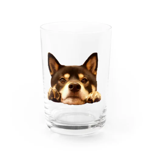 おねだりノアさん Water Glass