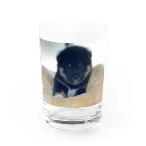 こまめ Water Glass