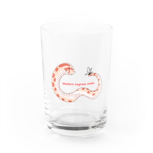シシバナヘビ Water Glass