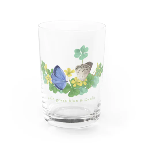 ヤマトシジミとカタバミ Water Glass