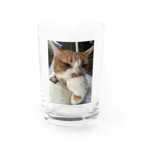 チャッキーろぴ Water Glass