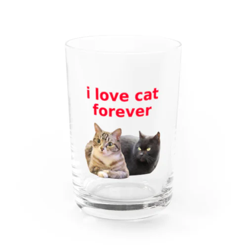 i love cat forever Water Glass