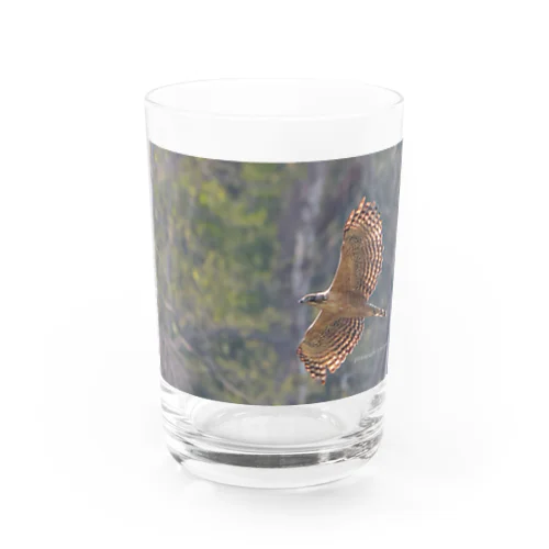 クマタカ Water Glass