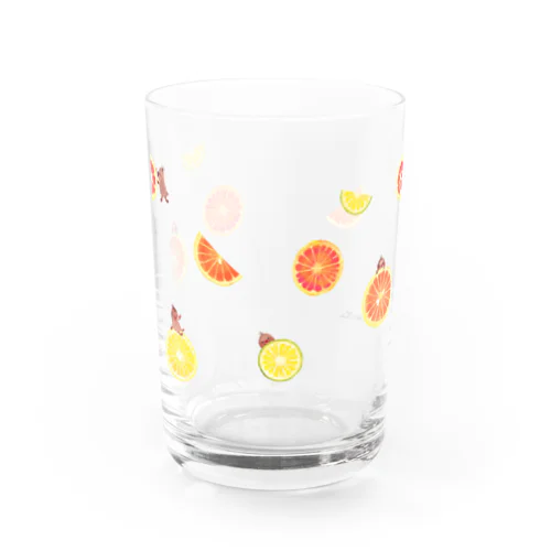 citrus fruits Water Glass