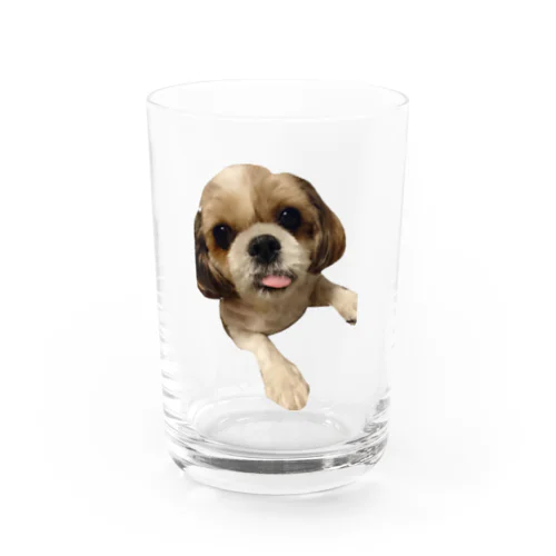 ベロ出しもんさん Water Glass