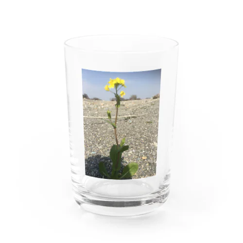 たくましく咲く花 Water Glass