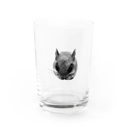 ももももももんが Water Glass