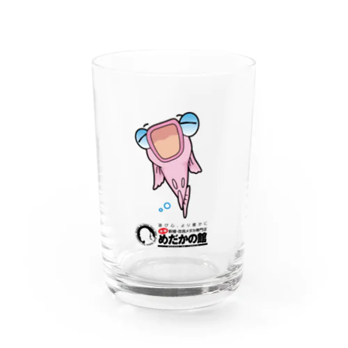 ピンクメダカの秋桜ちゃん Water Glass