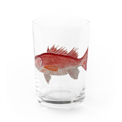 ノドグロ　ですヨ‼️ Water Glass