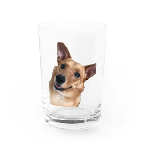 野犬 Water Glass