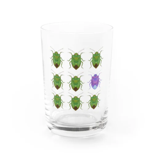 チャバネアオカメムシの秩序 Water Glass