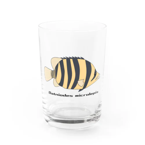 ダトニオ Water Glass