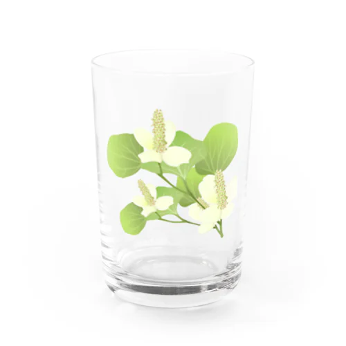 ドクダミの花 Water Glass