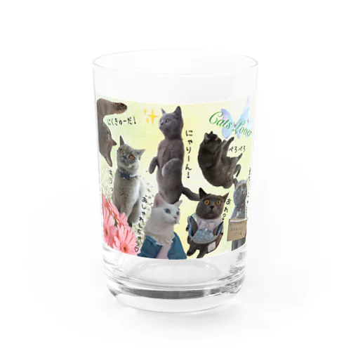 Cats Lover Water Glass