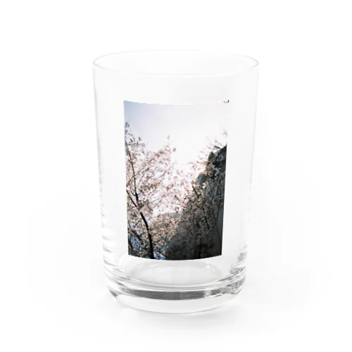 haru no yume Water Glass