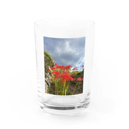 曼珠沙華 Water Glass