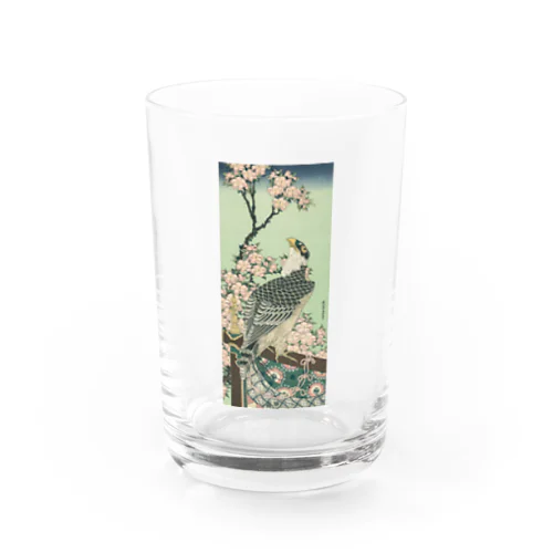 【浮世絵】　葛飾北斎　「桜花・鷹」 Water Glass